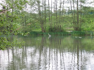 Kingfisher Lake