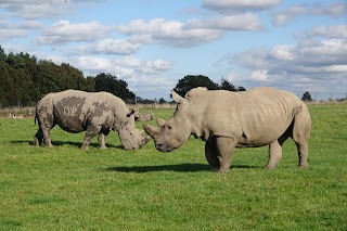 Knowsley Safari