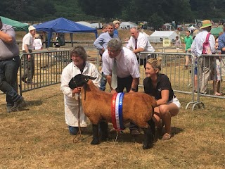 LLM Farm Vets, Eccleshall