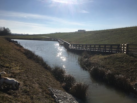 The Avenue Country Park