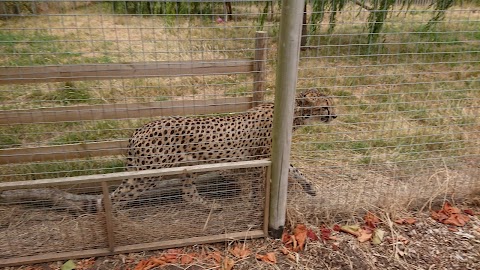 Wingham Wildlife Park