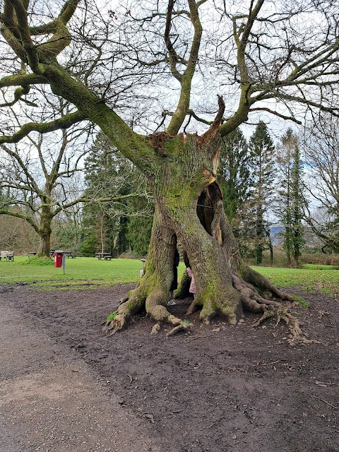 Gnoll Country Park