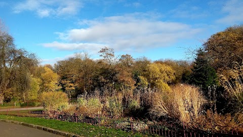 Coffee Shop & Ice Creams in the Park