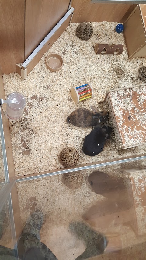 Pets at Home Merry Hill