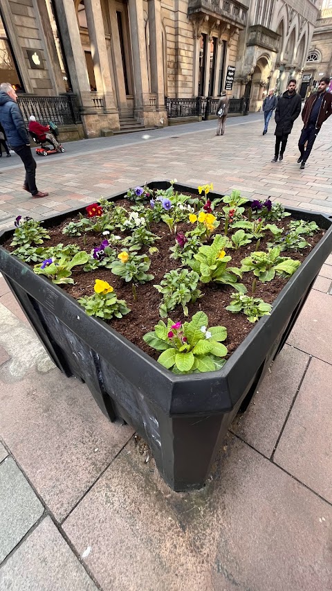 Apple Glasgow