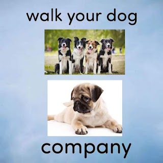 Walk your dog