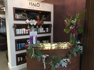 Halo Hairdressing