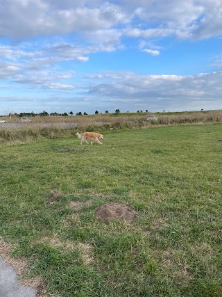 Festival Fields Car Park