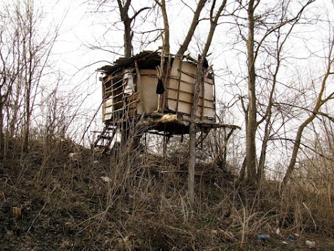 Сініцин Василь