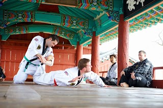 SKMA Hapkido (School of Korean Martial Arts)