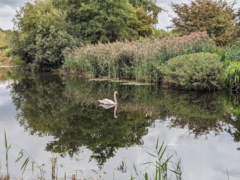 Pensthorpe