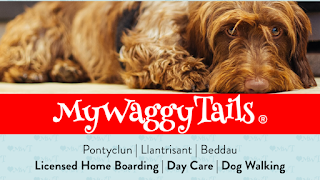 MyWaggyTails