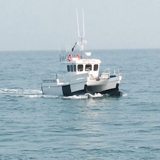 Mourne Sea Tours