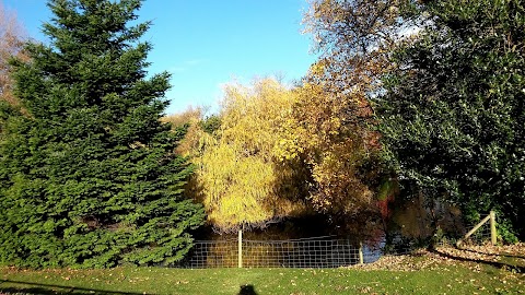 Coffee Shop & Ice Creams in the Park