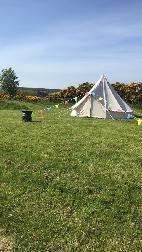 Bonnybridge Eco Camping & Glamping