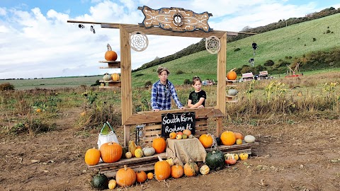 Beau and Bell at South Farm