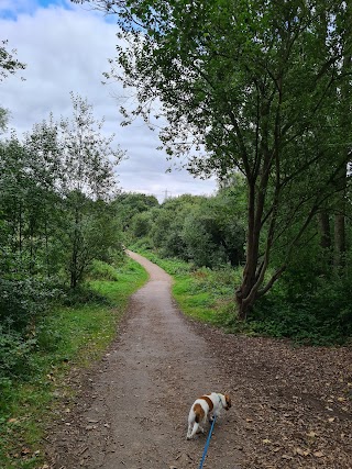 Tiddenfoot Waterside Park