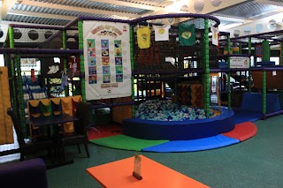 Fizzy Lizard Play Gym