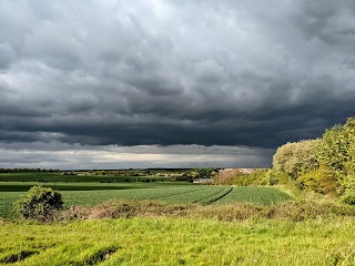 Fitzwilliam Country Park