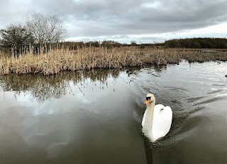 Perchy Pond Wishaw