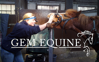 Gem Equine Ltd