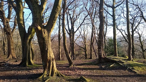 Corstorphine Hill Tower