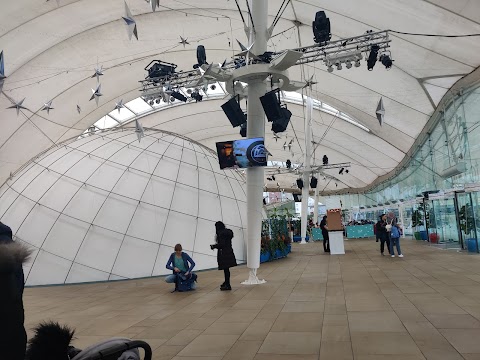 Dynamic Earth