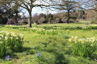 West Dean Gardens