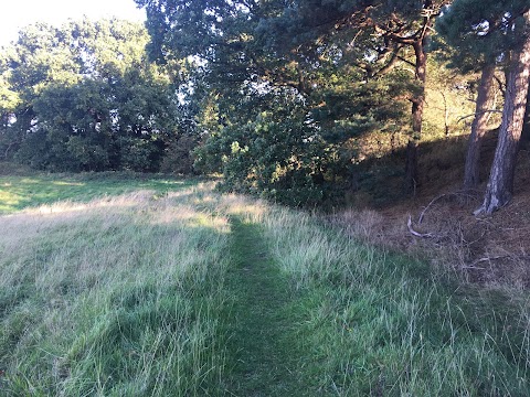 Cuckney Water Meadows