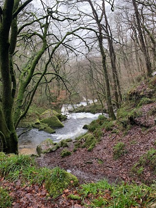 Golitha Falls