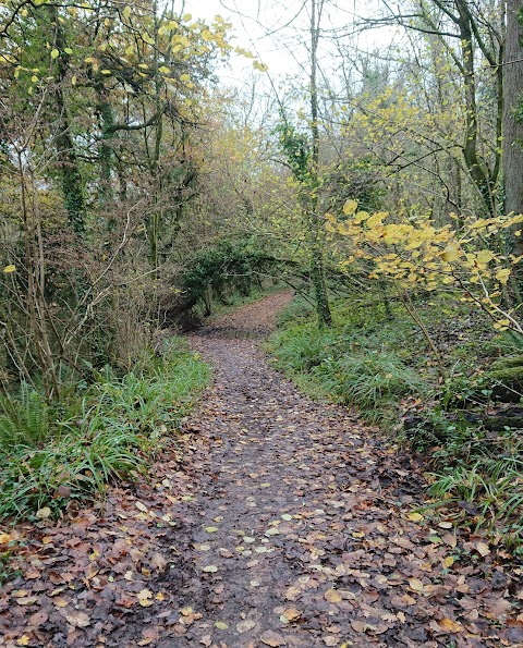 Trelai Park