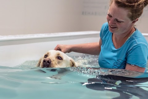 Clent Hills Pet Fitness & Rehabilitation Centre