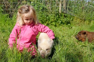 Kids Love Nature Kindergarten at Lymington