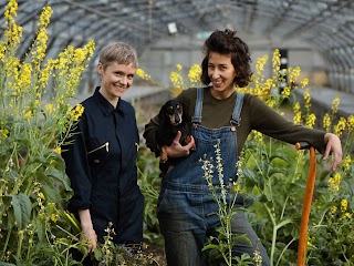 Wolves Lane Flower Company