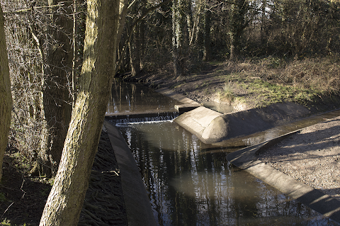 Hillfield Nature Reserve