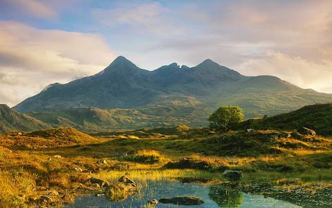 VisitScotland Head Office