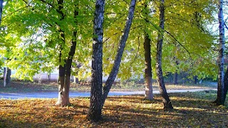 Парк імені П.Осоченка