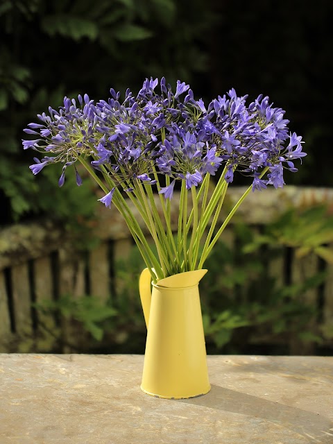 Cornish Blooms Flowers by Post