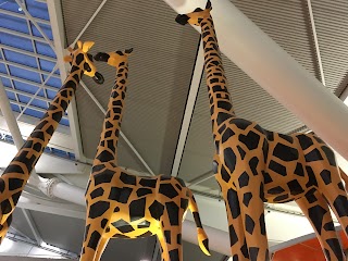 Giraffe Heathrow T5
