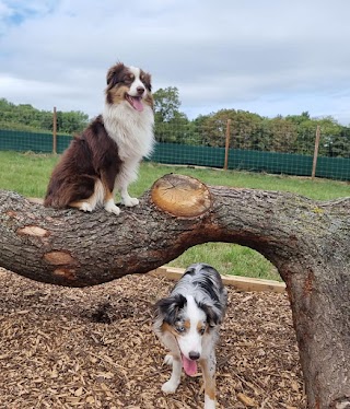 Cheshire View Dog Park