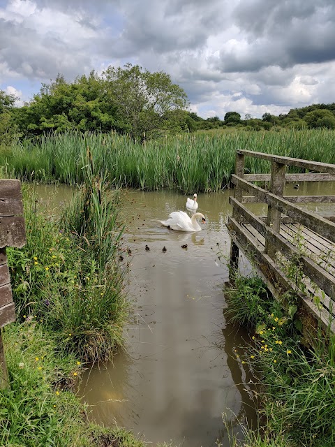 Greenhead Moss Nature Reserve