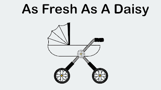 As Fresh As A Daisy Pram Cleaning and Refurbishment