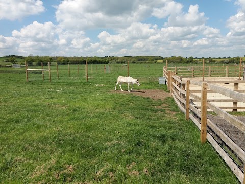 Hogshaw Farm & Wildlife Park