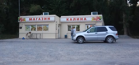 Калина