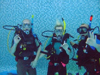 The Dive School