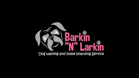 Barkin “N” Larkin dog walking and home boarding service