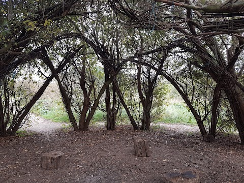 WaterWorks Centre Nature Reserve & Middlesex Filter Beds