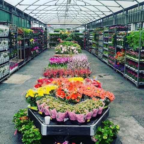 Garden of Edenmore Florist & Garden Centre