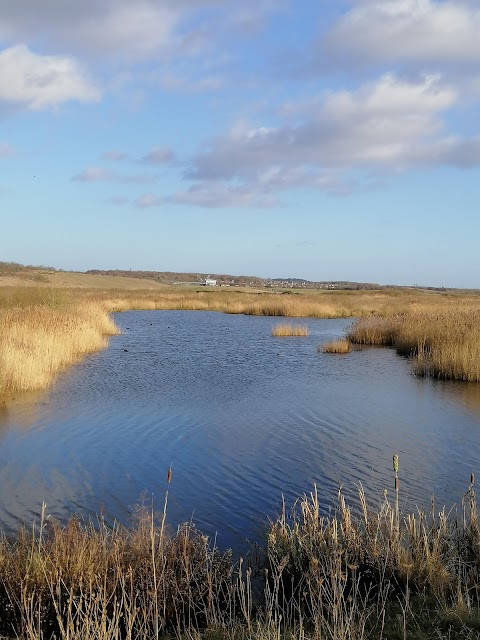 RSPB St Aidan's