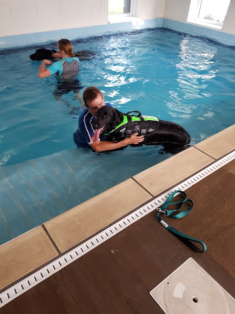 Well Dogs Canine Hydrotherapy pool